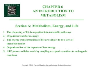 CHAPTER 6  AN INTRODUCTION TO METABOLISM Copyright © 2002 Pearson Education, Inc., publishing as Benjamin Cummings Section A: Metabolism, Energy, and Life 1. The chemistry of life is organized into metabolic pathways 2. Organisms transform energy 3. The energy transformations of life are subject to two laws of thermodynamics 4. Organisms live at the expense of free energy 5. ATP powers cellular work by coupling exergonic reactions to endergonic reactions 