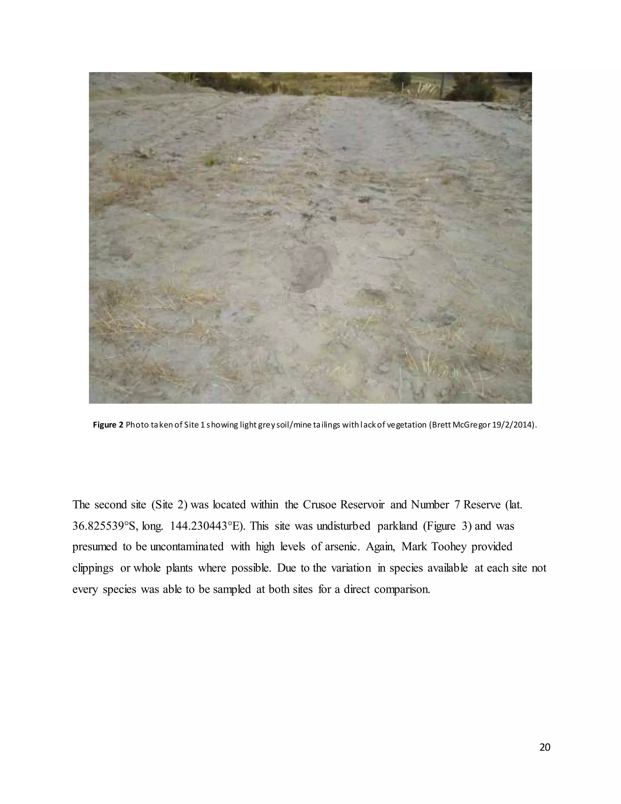 20
Figure 2 Photo takenof Site 1 showing light greysoil/mine tailings withlackof vegetation (Brett McGregor 19/2/2014).
The second site (Site 2) was located within the Crusoe Reservoir and Number 7 Reserve (lat.
36.825539°S, long. 144.230443°E). This site was undisturbed parkland (Figure 3) and was
presumed to be uncontaminated with high levels of arsenic. Again, Mark Toohey provided
clippings or whole plants where possible. Due to the variation in species available at each site not
every species was able to be sampled at both sites for a direct comparison.
 
