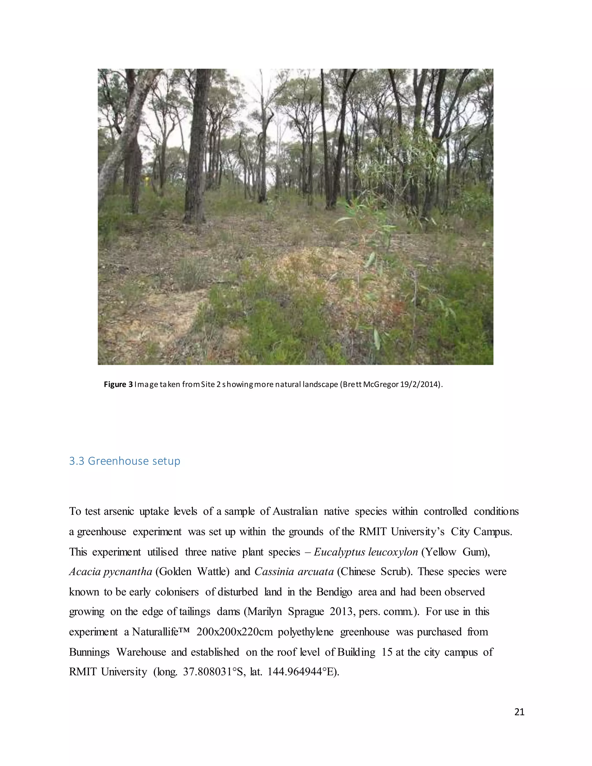 21
Figure 3 Image taken fromSite 2 showingmore natural landscape (Brett McGregor 19/2/2014).
3.3 Greenhouse setup
To test arsenic uptake levels of a sample of Australian native species within controlled conditions
a greenhouse experiment was set up within the grounds of the RMIT University’s City Campus.
This experiment utilised three native plant species – Eucalyptus leucoxylon (Yellow Gum),
Acacia pycnantha (Golden Wattle) and Cassinia arcuata (Chinese Scrub). These species were
known to be early colonisers of disturbed land in the Bendigo area and had been observed
growing on the edge of tailings dams (Marilyn Sprague 2013, pers. comm.). For use in this
experiment a Naturallife™ 200x200x220cm polyethylene greenhouse was purchased from
Bunnings Warehouse and established on the roof level of Building 15 at the city campus of
RMIT University (long. 37.808031°S, lat. 144.964944°E).
 