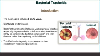 06 Acute Laryngitis and Bacterial Tracheitis_260210_211336.pdf