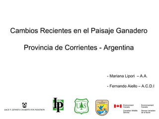 Cambios Recientes en el Paisaje Ganadero
Provincia de Corrientes - Argentina
- Mariana Lipori – A.A.
- Fernando Aiello – A.C.D.I
 