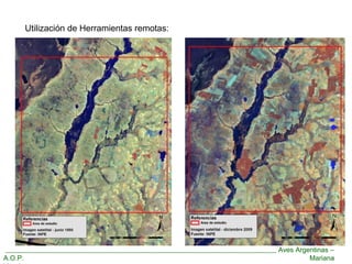 Aves Argentinas –
A.O.P. Mariana
Utilización de Herramientas remotas:
 