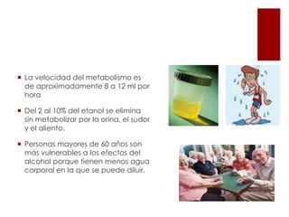 METABOLISMOOcurre en el hígado. EL 20% se absorbe en el estomago y 80% en el intestino delgado Al no tomarse con moderación se transporta por sangre y se almacena en los tejidosEl alcohol es soluble en agua y ésto hace que se difunda por todo el cuerpo, llegando al hígado a través de la circulación portalAl cruzar la barrera hematoencefalica produce los síntomas de ebriedad. 