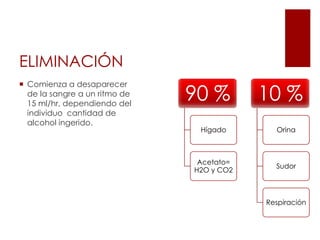 La velocidad del metabolismo es de aproximadamente 8 a 12 ml por hora Del 2 al 10% del etanol se elimina sin metabolizar por la orina, el sudor y el aliento. Personas mayores de 60 años son más vulnerables a los efectos del alcohol porque tienen menos agua corporal en la que se puede diluir. 
