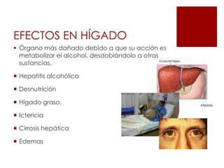 El cáncer de estómago ha sido relacionado con el abuso del alcohol.Inflamación del esófago.Las paredes del estómago sufren irritación e inflamación.