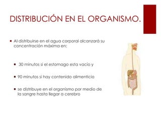 DISTRIBUCIÓN EN EL ORGANISMO.Al distribuirse en el agua corporal alcanzará su concentración máxima en: 30 minutos si el estomago esta vacío y 90 minutos si hay contenido alimenticiose distribuye en el organismo por medio de la sangre hasta llegar a cerebro