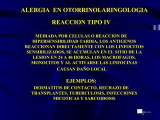ALERGIA  EN OTORRINOLARINGOLOGIA REACCION TIPO IV MEDIADA POR CELULAS O REACCION DE HIPERSENSIBILIDAD TARDIA, LOS ANTIGENOS REACCIONAN DIRECTAMENTE CON LOS LINFOCITOS SENSIBILIZADOS, SE ACUMULAN EN EL SITIO DE LA LESION EN 24 A 48 HORAS, LOS MACROFAGOS, MONOCITOS Y AL ACTIVARSE LAS LINFOCINAS CAUSAN DAÑO LOCAL EJEMPLOS:  DERMATITIS DE CONTACTO, RECHAZO DE TRANSPLANTES, TUBERCULOSIS, INFECCIONES MICOTICAS Y SARCOIDOSIS DRA. G. G. R. 