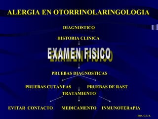 ALERGIA EN OTORRINOLARINGOLOGIA DRA. G.G. R. HISTORIA CLINICA  PRUEBAS DIAGNOSTICAS PRUEBAS CUTANEAS PRUEBAS DE RAST  TRATAMIENTO EVITAR  CONTACTO MEDICAMENTO INMUNOTERAPIA EXAMEN FISICO DIAGNOSTICO  