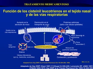 TRATAMIENTO MEDICAMENTOSO DRA. G.G. R. 