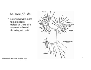 The Tree of Life
• Organisms with more
homolologous
molecular traits also
have more shared
physiological traits
11
Woesian ToL: Pace NR, Science 1997
 