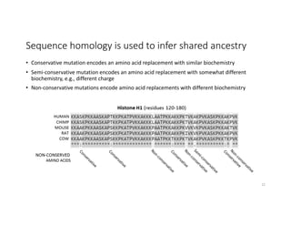 Sequence homology is used to infer shared ancestry
• Conservative mutation encodes an amino acid replacement with similar biochemistry
• Semi-conservative mutation encodes an amino acid replacement with somewhat different
biochemistry, e.g., different charge
• Non-conservative mutations encode amino acid replacements with different biochemistry
12
 