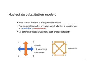 Nucleotide substitution models
• Jukes Cantor model is a one-parameter model
• Two-parameter models only care about whether a substitution
is a transition or transversion
• Six-parameter models weighting each change differently
26
 
