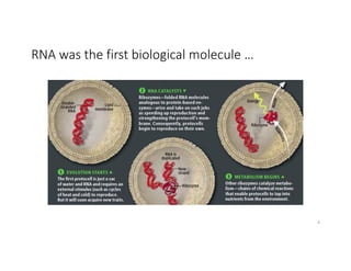 RNA was the first biological molecule …
4
 
