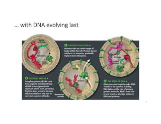 … with DNA evolving last
5
 