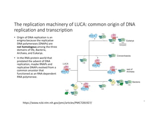 The replication machinery of LUCA: common origin of DNA
replication and transcription
• Origin of DNA replication is an
enigma because the replicative
DNA polymerases (DNAPs) are
not homologous among the three
domains of life, Bacteria,
Archaea, and Eukarya.
• In the RNA-protein world that
predated the advent of DNA
replication, maybe RNAPs and
replicative DNAPs evolved from a
common ancestor that
functioned as an RNA-dependent
RNA polymerase.
6
https://www.ncbi.nlm.nih.gov/pmc/articles/PMC7281927/
 