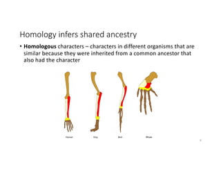 Homology infers shared ancestry
• Homologous characters – characters in different organisms that are
similar because they were inherited from a common ancestor that
also had the character
8
 