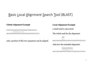 Basic Local Alignment Search Tool (BLAST)
81
 