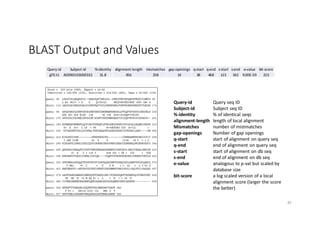 BLAST Output and Values
82
 