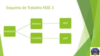 Esquema de Trabalho FASE 3
Avaliação
Anestro IATF
Ciclando IATF
 