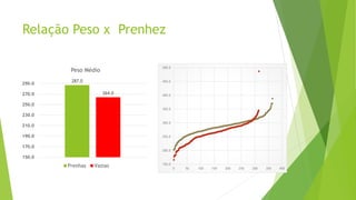 Relação Peso x Prenhez
287.0
264.0
150.0
170.0
190.0
210.0
230.0
250.0
270.0
290.0
Peso Médio
Prenhas Vazias 150.0
200.0
250.0
300.0
350.0
400.0
450.0
500.0
0 50 100 150 200 250 300 350 400
 