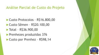 Análise Parcial de Custo do Projeto
 Custo Protocolos – R$16.800,00
 Custo Sêmen – R$20.100,00
 Total – R$36.900,00
 Prenhezes produzidas 376
 Custo por Prenhez – R$98,14
 