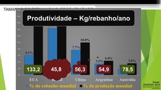 TAMANHO DO REBANHO VS. PRODUTIVIDADE
6.1%
14.4%
7.7%
3.5%
2.0%
18.6%
15.2%
10.0%
4.4%
3.6%
0%
2%
4%
6%
8%
10%
12%
14%
16%
18%
20%
EUA Brasil China Argentina Austrália
% do rebanho mundial % da produção mundial
Fonte:
FAOSTAT 2014
http://faostat3.fao.org/bro
wse/Q/QL/E
Produtividade – Kg/rebanho/ano
133,2 78,556,3 54,945,8
 