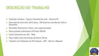 DESCRIÇÃO DO TRABALHO
 Fazendas Campina – Caiuá e Fazenda São José – Paulínia SP
 Descrição do Lote safra 2014 aprox. 700 bezerras nascidas de Julho a
Dezembro
 Recriadas Totalmente a Pasto, sem suplementação
 Peso ajustado a Desmama (210 dias) 200 KG
 Ganho desmama aos 365 - 70kg
 Peso médio início da Estação de Monta 276 kg
 Trabalho com Protocolo de Pré Indução , IATF , Recinc e Repasse
 
