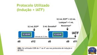 Protocolo Utilizado
(Indução + IATF)
Intervalo de 12 dias
d0 d12 d0 d9 d11
0,3 mL ECP® 2 mL Gonadiol®
0,3 mL ECP® + 2,5 mL
Lutalyse® + 1 mL
Novormon®
IATF
OBS: foi utilizado CIDR de 1º ao 4º uso nos protocolos de indução e
de IATF.
 