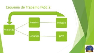 Esquema de Trabalho FASE 2
Avaliação
Anestro Indução
Ciclando IATF
 