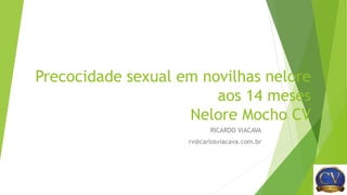 Precocidade sexual em novilhas nelore
aos 14 meses
Nelore Mocho CV
RICARDO VIACAVA
rv@carlosviacava.com.br
 
