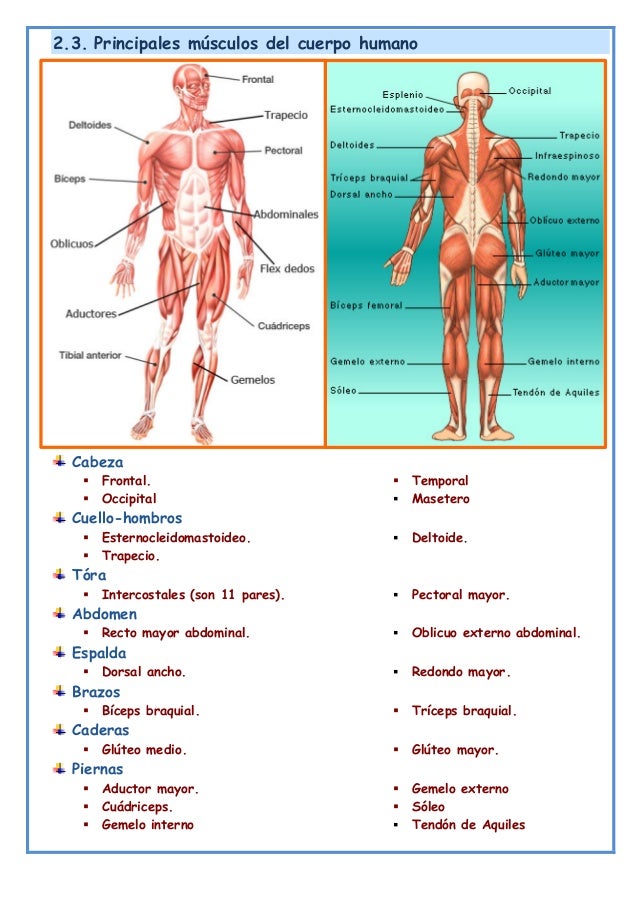 06 Aparato 17 18 3º ESO