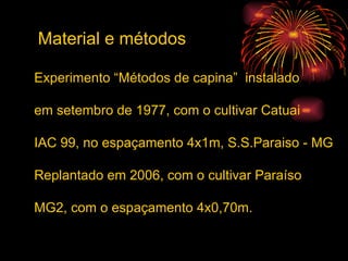 Material e métodos Experimento “Métodos de capina”  instalado em setembro de 1977, com o cultivar Catuai  IAC 99, no espaçamento 4x1m, S.S.Paraiso - MG Replantado em 2006, com o cultivar Paraíso  MG2, com o espaçamento 4x0,70m. 