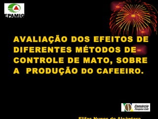 AVALIAÇÃO DOS EFEITOS DE DIFERENTES MÉTODOS DE CONTROLE DE MATO, SOBRE A  PRODUÇÃO  DO CAFEEIRO. Elifas Nunes de Alcântara 