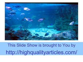 This Slide Show is brought to You by http:// highqualityarticles.com / 