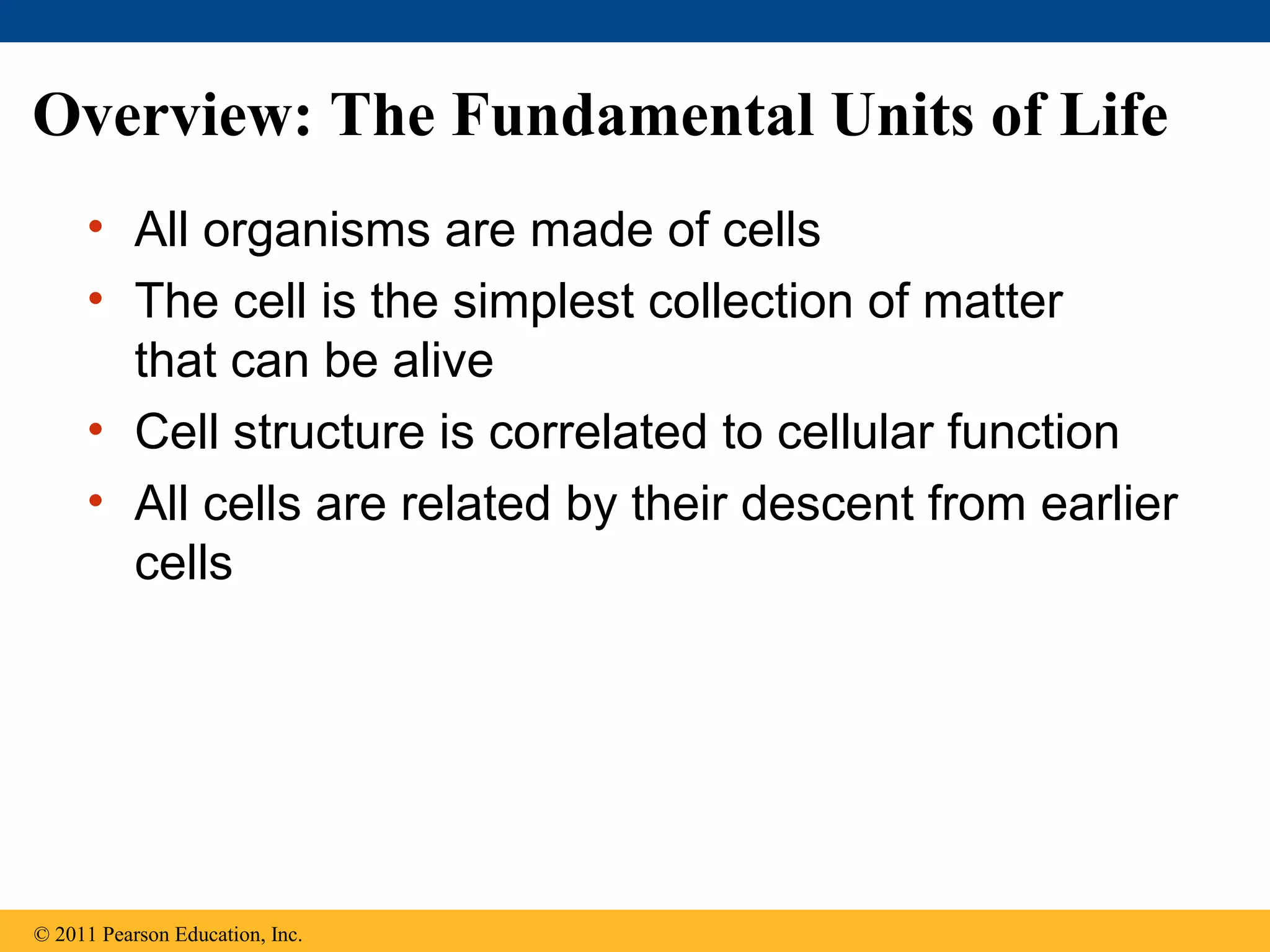 06 a tour of the cell | PPT