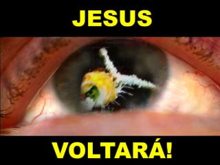 JESUS
VOLTARÁ!
 