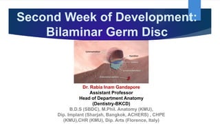 Second Week of Development:
Bilaminar Germ Disc
Dr. Rabia Inam Gandapore
Assistant Professor
Head of Department Anatomy
(Dentistry-BKCD)
B.D.S (SBDC), M.Phil. Anatomy (KMU),
Dip. Implant (Sharjah, Bangkok, ACHERS) , CHPE
(KMU),CHR (KMU), Dip. Arts (Florence, Italy)
 