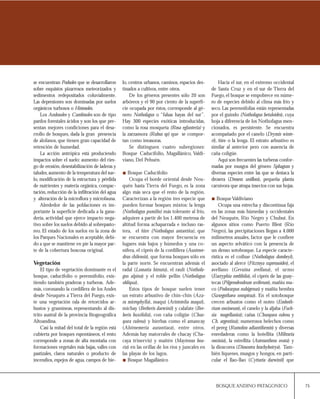 75BOSQUE ANDINO PATAGONICO
se encuentran Podsoles que se desarrollaron
sobre esquistos pizarrosos meteorizados y
sedimentos redepositados coluvialmente.
Las depresiones son dominadas por suelos
orgánicos turbosos o Histosoles.
Los Andosoles y Cambisoles son de tipo
pardos forestales ácidos y son los que pre-
sentan mejores condiciones para el desa-
rrollo de bosques, dada la gran presencia
de alofanos, que tienen gran capacidad de
retención de humedad.
La acción antrópica está produciendo
impactos sobre el suelo: aumento del ries-
go de erosión,desestabilización de laderas y
taludes,aumento de la temperatura del sue-
lo, modificación de la estructura y pérdida
de nutrientes y materia orgánica, compac-
tación,reducción de la infiltración del agua
y alteración de la microflora y microfauna.
Alrededor de las poblaciones es im-
portante la superficie dedicada a la gana-
dería, actividad que ejerce impacto nega-
tivo sobre los suelos debido al sobrepasto-
reo. El estado de los suelos en la zona de
los Parques Nacionales es aceptable, debi-
do a que se mantiene en pie la mayor par-
te de la cobertura boscosa original.
Vegetación
El tipo de vegetación dominante es el
bosque, caducifolio o perennifolio, exis-
tiendo también praderas y turberas. Ade-
más, coronando la cordillera de los Andes
desde Neuquén a Tierra del Fuego, exis-
te una vegetación rala de retorcidos ar-
bustos y gramíneas, representando al dis-
trito austral de la provincia fitogeográfica
Altoandina.
Casi la mitad del total de la región está
cubierta por bosques espontáneos, el resto
corresponde a zonas de alta montaña con
formaciones vegetales más bajas, valles con
pastizales, claros naturales o producto de
incendios, espejos de agua, campos de hie-
lo, centros urbanos, caminos, espacios des-
tinados a cultivos, entre otros.
De los géneros presentes sólo 20 son
arbóreos y el 90 por ciento de la superfi-
cie ocupada por éstos, corresponde al gé-
nero Nothofagus o “falsas hayas del sur”.
Hay 300 especies exóticas introducidas,
como la rosa mosqueta (Rosa eglanteria) y
la zarzamora (Rubus sp) que se compor-
tan como invasoras.
Se distinguen cuatro subregiones:
Bosque Caducifolio, Magallánico, Valdi-
viano, Del Pehuén.
Bosque Caducifolio
Ocupa el borde oriental desde Neu-
quén hasta Tierra del Fuego, es la zona
algo más seca que el resto de la región.
Caracterizan a la región tres especie que
pueden formar bosques mixtos: la lenga
(Nothofagus pumilio) más tolerante al frío,
adquiere a partir de los 1.400 metrosa de
altitud forma achaparrada e incluso ras-
tera, el ñire (Nothofagus antarctica), que
se encuentra con mayor frecuencia en
lugares más bajos y húmedos y una co-
nífera, el ciprés de la cordillera (Austroce-
drus chilensis), que forma bosques sólo en
la parte norte. Se encuentran además el
radal (Lomatia hirsuta), el raulí (Nothofa-
gus alpina) y el roble pellín (Nothofagus
obliqua).
Estos tipos de bosque suelen tener
un estrato arbustivo de chin-chín (Aza-
ra microphylla), maqui (Aristotelia maqui),
michay (Berberis darwinii) y calafate (Ber-
beris buxifolia), con caña coligüe (Chus-
quea culeou) y hierbas como el amancay
(Alstroemeria aurantiaca), entre otros.
Además hay matorrales de chacay (Cha-
caya trinervis) y maitén (Maytenus boa-
ria) en las orillas de los ríos y juncales en
las playas de los lagos.
Bosque Magallánico
Hacia el sur, en el extremo occidental
de Santa Cruz y en el sur de Tierra del
Fuego,el bosque se empobrece en núme-
ro de especies debido al clima más frío y
seco. Las perennifolias están representadas
por el guindo (Nothofagus betuloides), cuya
hoja a diferencia de los Nothofagus men-
cionados, es persistente. Se encuentra
acompañado por el canelo (Drymis winte-
ri), ñire o la lenga. El estrato arbustivo es
similar al anterior pero con ausencia de
caña coligüe.
Aquí son frecuentes las turberas confor-
madas por musgos del género Sphagum y
diversas especies entre las que se destaca la
drosera (Drosera uniflora), pequeña planta
carnívora que atrapa insectos con sus hojas.
BosqueValdiviano
Ocupa una estrecha y discontínua faja
en las zonas más húmedas y occidentales
del Neuquén, Río Negro y Chubut. En
algunos sitios como Puerto Blest (Río
Negro), las precipitaciones llegan a 4.000
milímetros anuales, factor que le confiere
un aspecto selvático con la presencia de
un denso sotobosque. La especie caracte-
rística es el coihue (Nothofagus dombeyi),
asociado al alerce (Fitzroya cupressoides), el
avellano (Gevuina avellana), el urmo
(Eucryphia cordifolia), el ciprés de las guay-
tecas (Pilgerodendrum uviferum),mañiu ma-
co (Podocarpus nubigenus) y mañiu hembra
(Saxegothaea conspicua). En el sotobosque
crecen arbustos como el notro (Emboth-
rium coccineum), el canelo y la aljaba (Fuch-
sia magellanica); cañas (Chusquea culeou y
Ch. argentina); numerosos helechos como
el pereg (Rumohra adiantiformis) y diversas
enredaderas como la botellita (Miltraria
coccinia), la estrellita (Asteranthera ovata) y
la dioscorea (Dioscorea brachybotrya). Tam-
bién líquenes, musgos y hongos, en parti-
cular el llao-llao (Cyttaría darwinii) que
 
