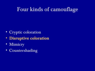 Four kinds of camouflage
• Cryptic coloration
• Disruptive coloration
• Mimicry
• Countershading
 