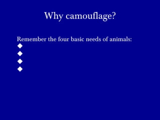 Why camouflage?
Remember the four basic needs of animals:




 