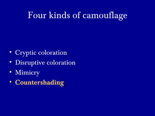 Four kinds of camouflage
• Cryptic coloration
• Disruptive coloration
• Mimicry
• Countershading
 