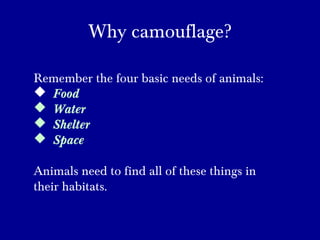 Why camouflage?
Remember the four basic needs of animals:
 Food
 Water
 Shelter
 Space
Animals need to find all of these things in
their habitats.
 