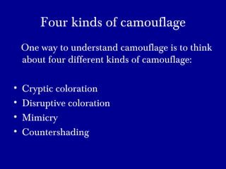 Four kinds of camouflage
One way to understand camouflage is to think
about four different kinds of camouflage:
• Cryptic coloration
• Disruptive coloration
• Mimicry
• Countershading
 
