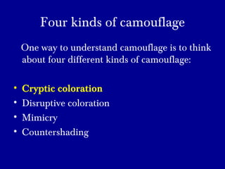 Four kinds of camouflage
One way to understand camouflage is to think
about four different kinds of camouflage:
• Cryptic coloration
• Disruptive coloration
• Mimicry
• Countershading
 