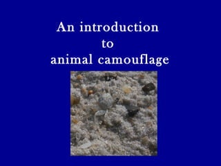 An introduction
to
animal camouflage
 