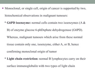  Monoclonal, or single cell, origin of cancer is supported by two,
histochemical observations in malignant tumours:
* G6PD isoenzyme: normal cells contain two isoenzymes (A &
B) of enzyme glucose 6-phDsphate dehydrogenase (G6PD).
Whereas, malignant tumours which arise from these normal
tissue contain only one, isoenzyme, either A, or B, hence
confirming monoclonal origin of tumor
* Light chain restriction: normal B lymphocytes carry on their
surface immunoglobulin with two types of light chain
 
