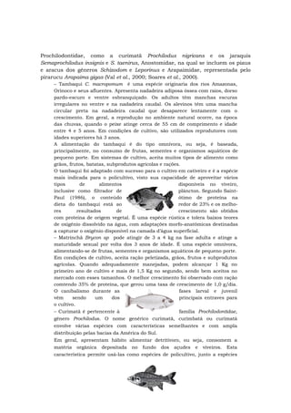 Prochilodontidae, como a curimatã Prochilodus nigricans e os jaraquis
Semaprochilodus insignis e S. taenirus, Anostomidae, na qual se incluem os piaus
e aracus dos gêneros Schizodom e Leporinus e Arapaimidae, representada pelo
pirarucu Arapaima gigas (Val et al., 2000; Soares et al., 2000).
– Tambaqui C. macropomum é uma espécie originaria dos rios Amazonas,
Orinoco e seus afluentes. Apresenta nadadeira adiposa óssea com raios, dorso
pardo-escuro e ventre esbranquiçado. Os adultos têm manchas escuras
irregulares no ventre e na nadadeira caudal. Os alevinos têm uma mancha
circular preta na nadadeira caudal que desaparece lentamente com o
crescimento. Em geral, a reprodução no ambiente natural ocorre, na época
das chuvas, quando o peixe atinge cerca de 55 cm de comprimento e idade
entre 4 e 5 anos. Em condições de cultivo, são utilizados reprodutores com
idades superiores há 3 anos.
A alimentação do tambaqui é do tipo omnívora, ou seja, é baseada,
principalmente, no consumo de frutas, sementes e organismos aquáticos de
pequeno porte. Em sistemas de cultivo, aceita muitos tipos de alimento como
grãos, frutos, batatas, subprodutos agrícolas e rações.
O tambaqui foi adaptado com sucesso para o cultivo em cativeiro e é a espécie
mais indicada para o policultivo, visto sua capacidade de aproveitar vários
tipos de alimentos disponíveis no viveiro,
inclusive como filtrador de plâncton. Segundo Saint-
Paul (1986), o conteúdo ótimo de proteína na
dieta do tambaqui está ao redor de 23% e os melho-
res resultados de crescimento são obtidos
com proteína de origem vegetal. É uma espécie rústica e tolera baixos teores
de oxigênio dissolvido na água, com adaptações morfo-anatômicas destinadas
a capturar o oxigênio disponível na camada d’água superficial.
– Matrinchã Brycon sp pode atingir de 3 a 4 kg na fase adulta e atinge a
maturidade sexual por volta dos 3 anos de idade. É uma espécie omnívora,
alimentando-se de frutas, sementes e organismos aquáticos de pequeno porte.
Em condições de cultivo, aceita ração peletizada, grãos, frutos e subprodutos
agrícolas. Quando adequadamente manejadas, podem alcançar 1 Kg no
primeiro ano de cultivo e mais de 1,5 Kg no segundo, sendo bem aceitos no
mercado com esses tamanhos. O melhor crescimento foi observado com ração
comtendo 35% de proteína, que gerou uma taxa de crescimento de 1,0 g/dia.
O canibalismo durante as fases larval e juvenil
vêm sendo um dos principais entraves para
o cultivo.
– Curimatã é pertencente à família Prochilodontidae,
gênero Prochilodus. O nome genérico curimatã, curimbatá ou curimatá
envolve várias espécies com características semelhantes e com ampla
distribuição pelas bacias da América do Sul.
Em geral, apresentam hábito alimentar detritívoro, ou seja, consomem a
matéria orgânica depositada no fundo dos açudes e viveiros. Esta
característica permite usá-las como espécies de policultivo, junto a espécies
 