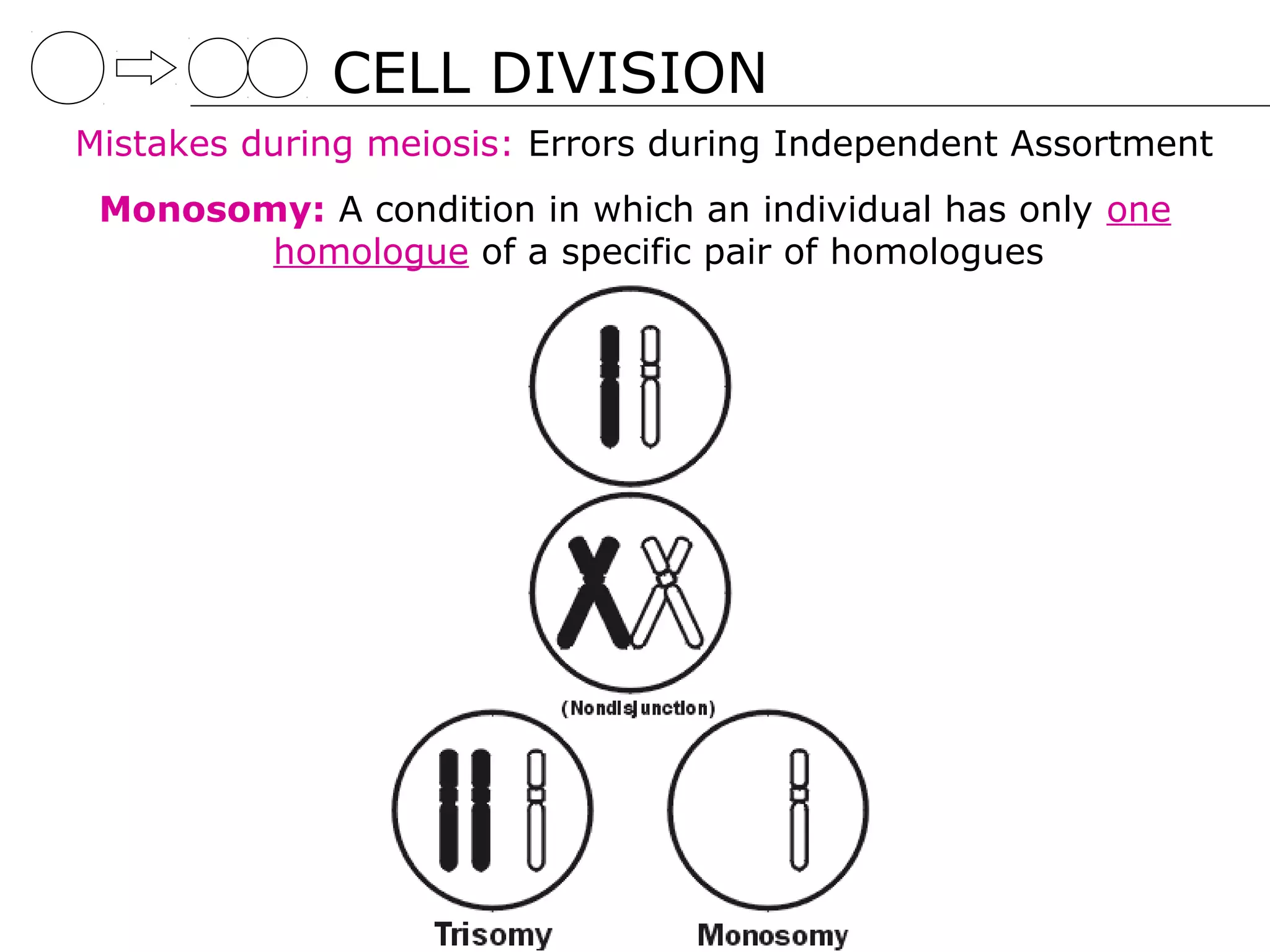 CELL DIVISION
Mistakes during meiosis: Errors during Independent Assortment
 Monosomy: A condition in which an individual has only one
        homologue of a specific pair of homologues
 