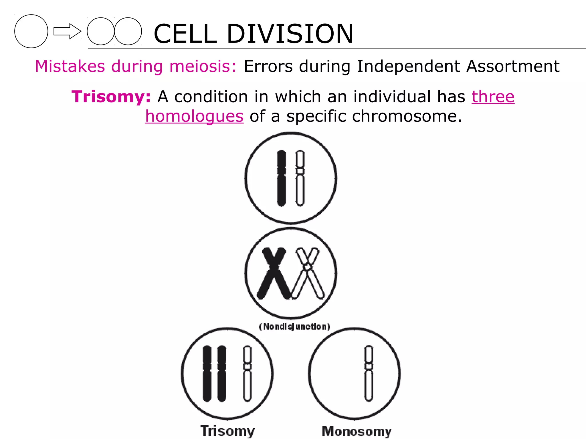 CELL DIVISION
Mistakes during meiosis: Errors during Independent Assortment
    Trisomy: A condition in which an individual has three
           homologues of a specific chromosome.
 