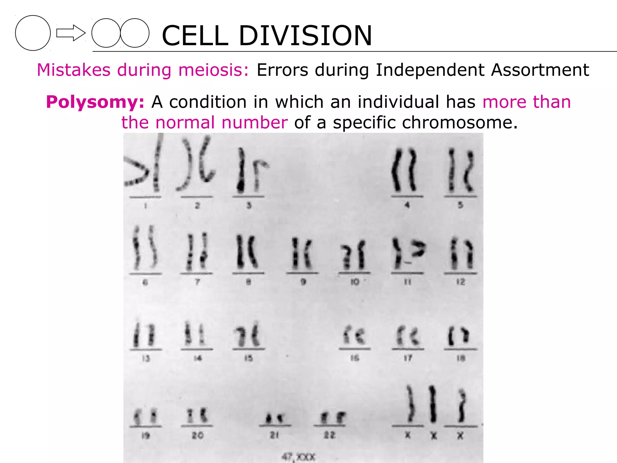 CELL DIVISION
Mistakes during meiosis: Errors during Independent Assortment
Polysomy: A condition in which an individual has more than
       the normal number of a specific chromosome.
 